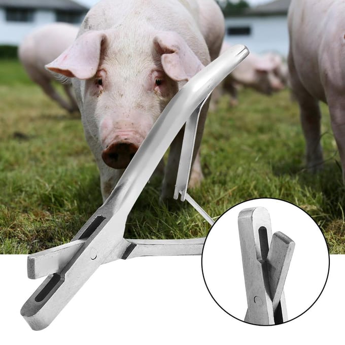 RVS Varkens Oormerk Tang Varkensuitrusting Boerderijdieren (U-vormig) white