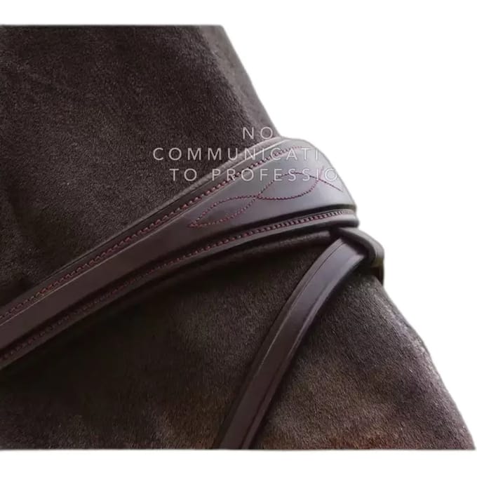 Anatomische gecombineerde bit voor paard met kettingen Dy'on