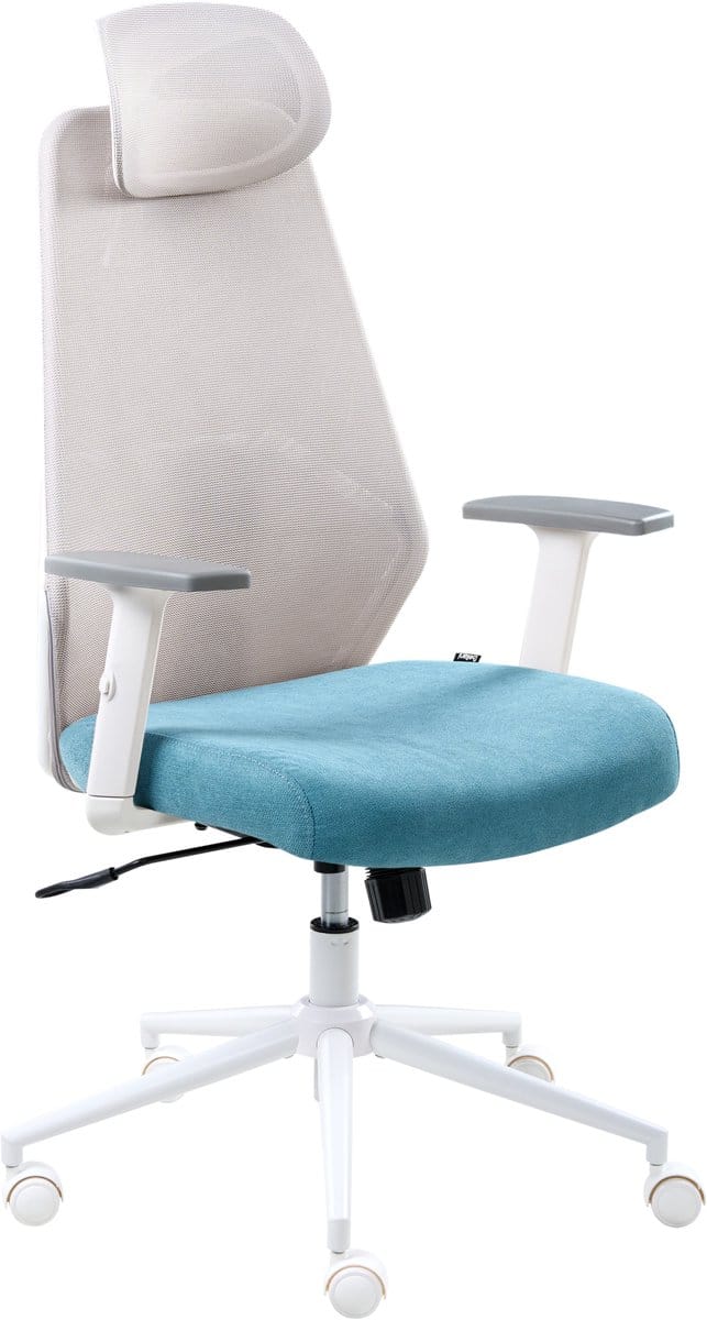 ORYN - Bureaustoel - Grijs/Groenblauw - Mesh