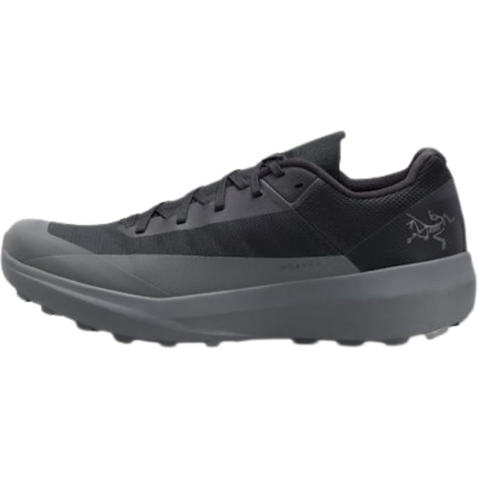 ArcTeryx Mens Norvan LD 4