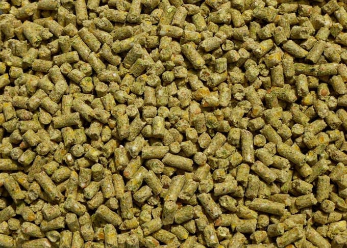 Hm Kippen Legkorrel 20 kg