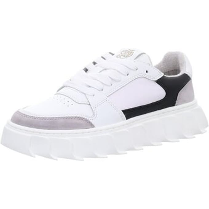 Sneakers Apple Of Eden -