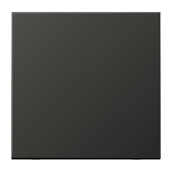 Jung LS-bereik Bedieningselement/Centrale Plaat schakelkast - AL2990AN