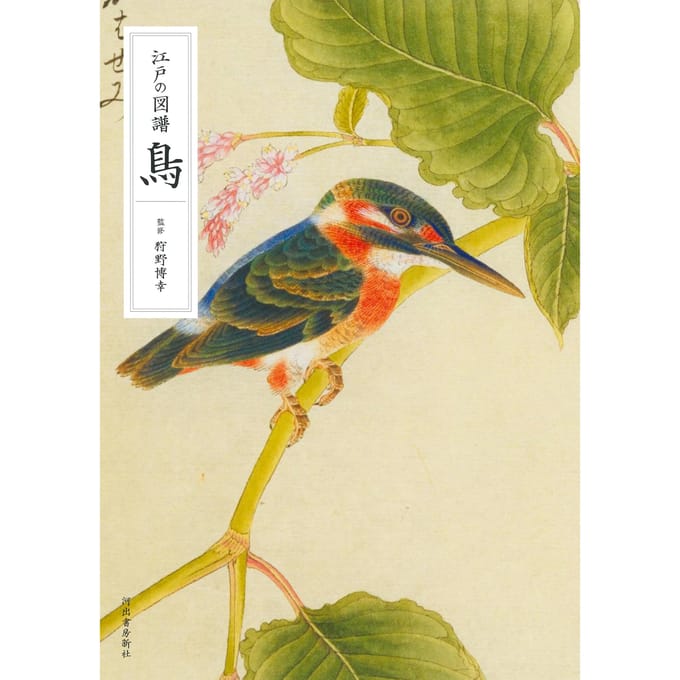 Illustraties van vogels uit de Edo-periode