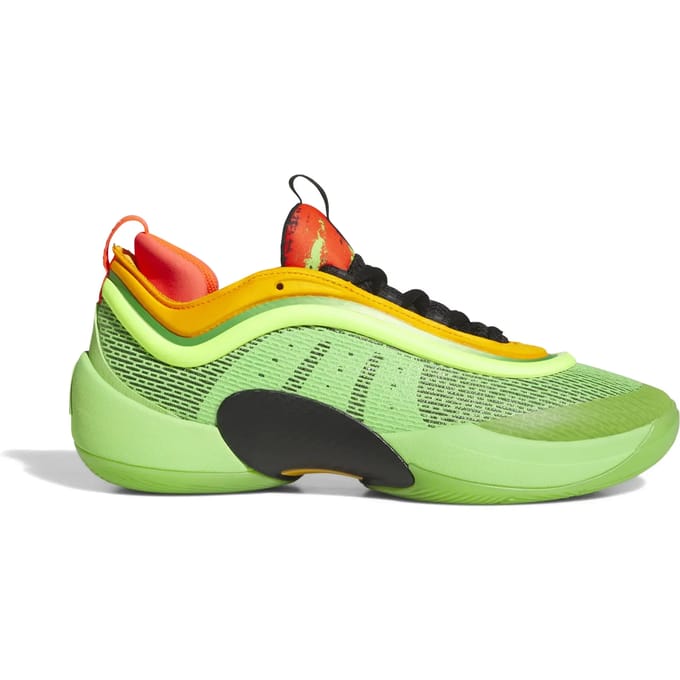Basketbalschoenen adidas D.O.N. Issue 5