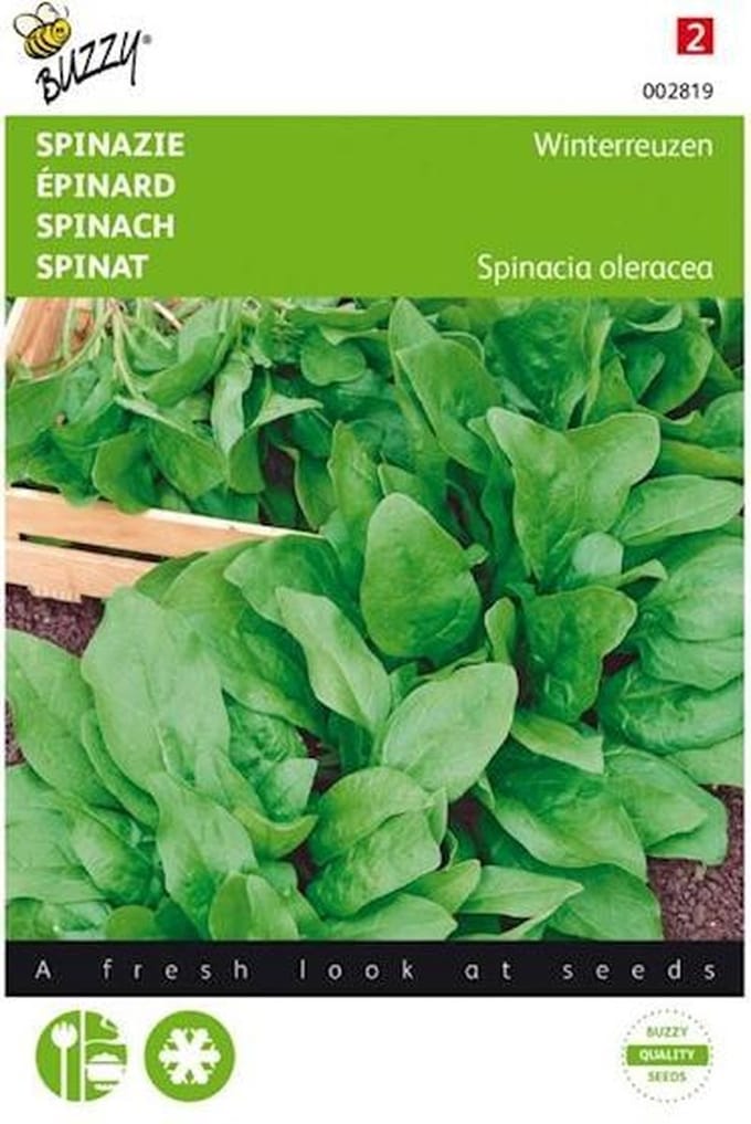 Hortitops Zaden - Spinazie Winterreuzen Viroflex
