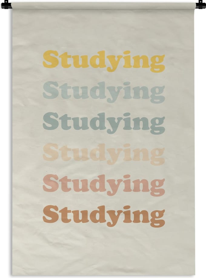 Wandkleed - Wanddoek - Quotes - Studeren - Student - 60x90 cm - Wandtapijt
