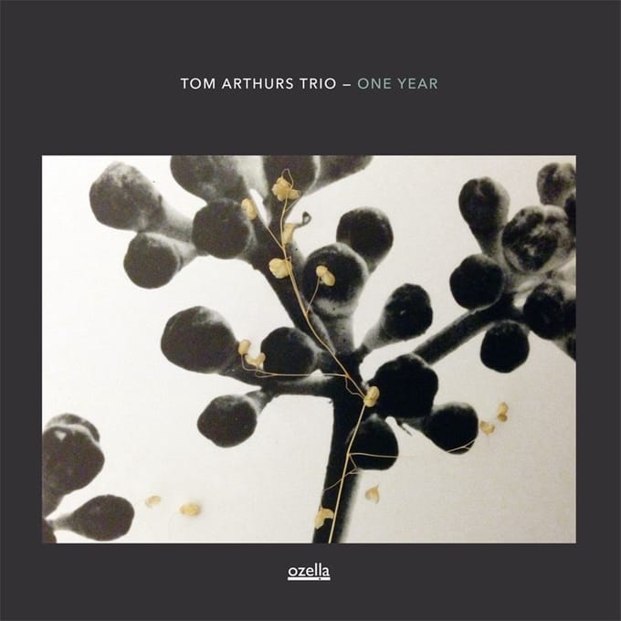 Tom Arthurs Trio - One Year (CD)
