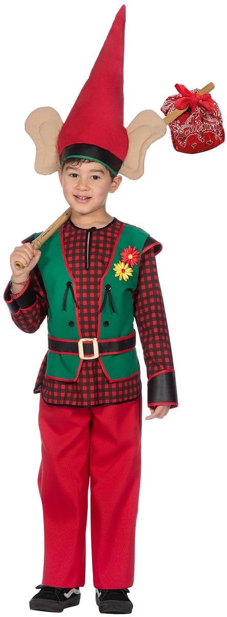 Kabouterjongen Felix Flap Kostuum