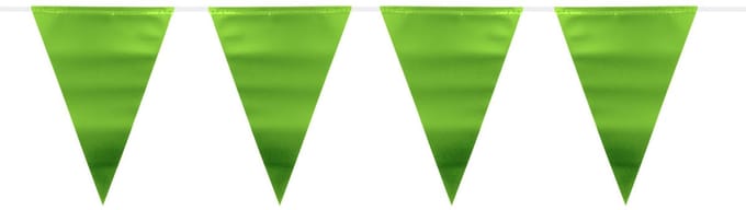 Folat - Groene Metallic Mat Vlaggenlijn - 6 meter