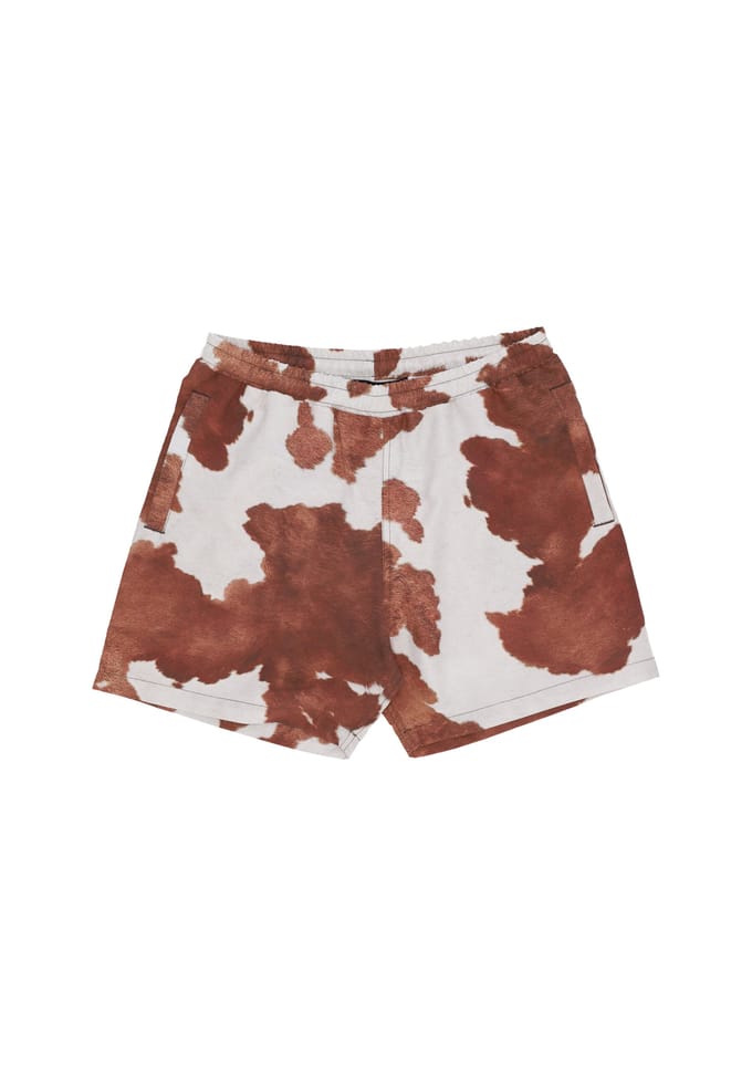 Mannenshorts Zwembroek Wit