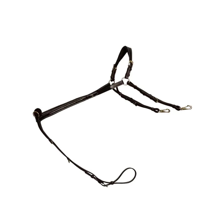 Jachthalsband voor brugpaard Dy'on