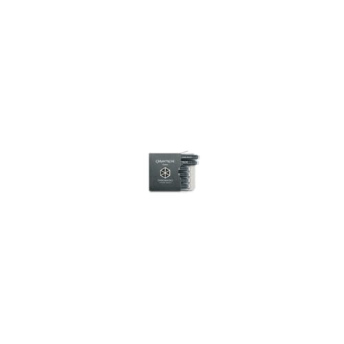 Caran d'ache vulpenvulling chromatics per 6 stuks, cosmic black