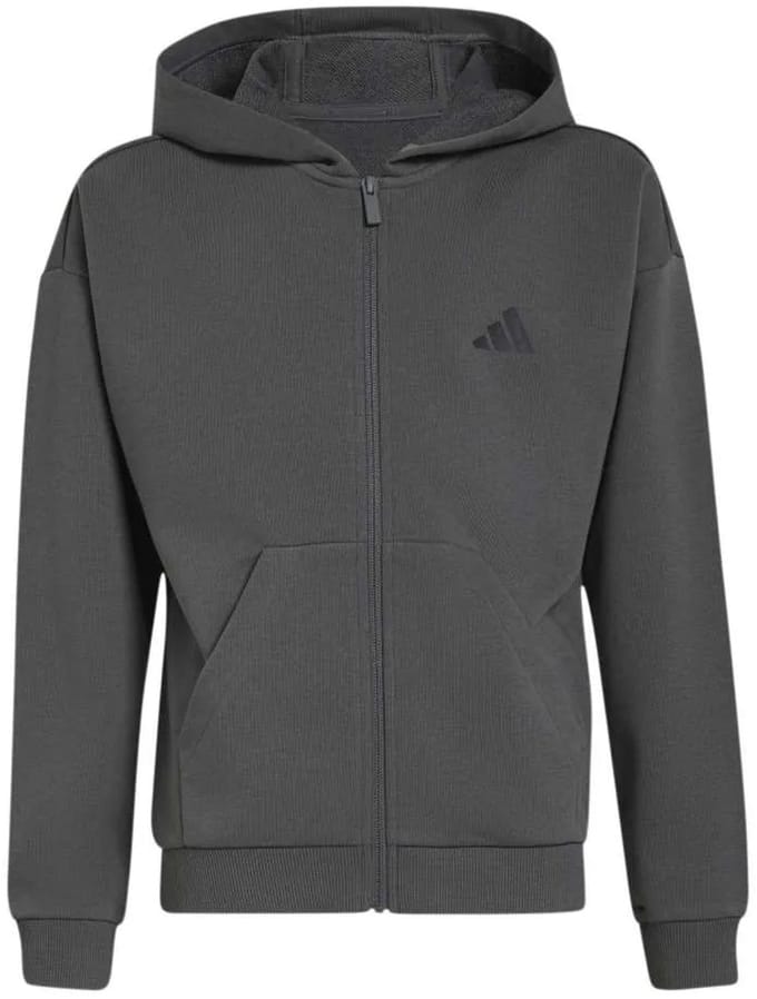 Adidas Essentials Sweatshirt Met Rits Grijs 11-12 Years Kinderen