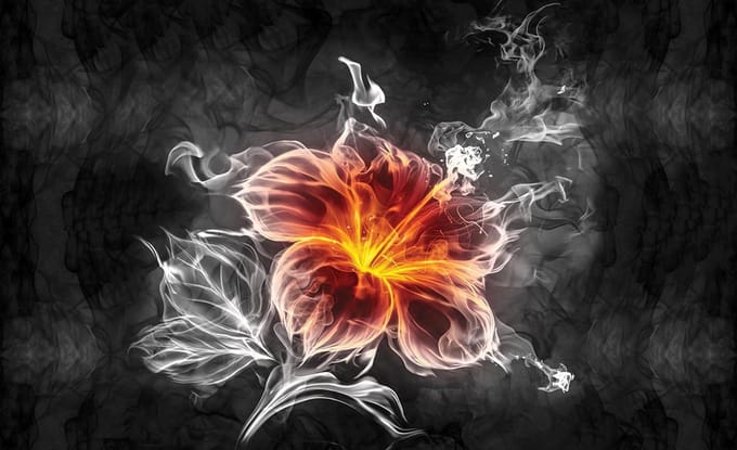 Flower Photo Wallcovering