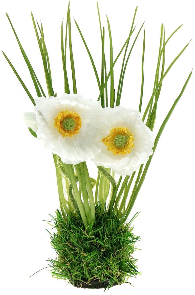 Papaverwit in het gras 23cm