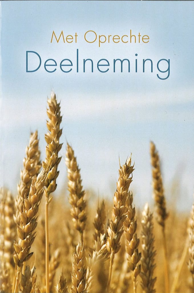 MGPcards - 6x dubbele wenskaart met envelop - Deelneming - Zonder tekst - 11,5 x 17 cm
