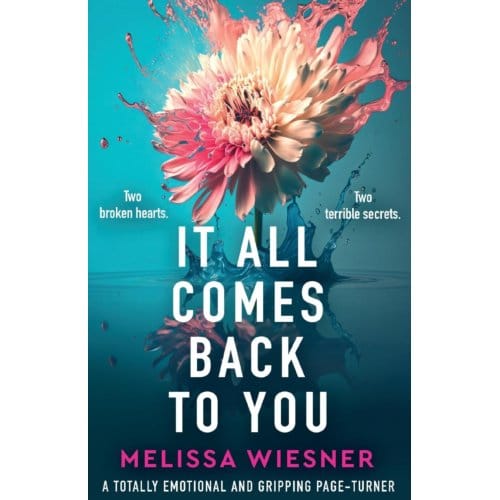 Wiesner, M: It All Comes Back To You - Melissa Wiesner