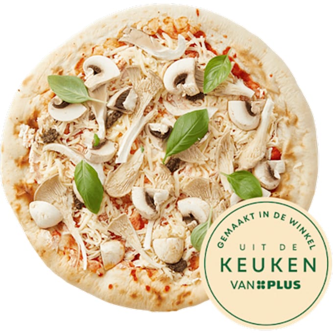 Pizza Funghi