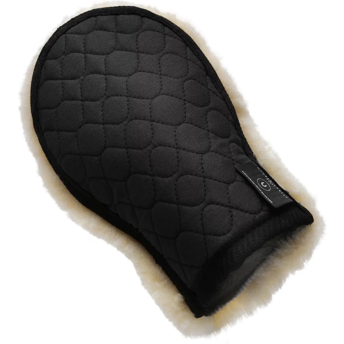 Schoonmaakhandschoenen Werner Christ Horse