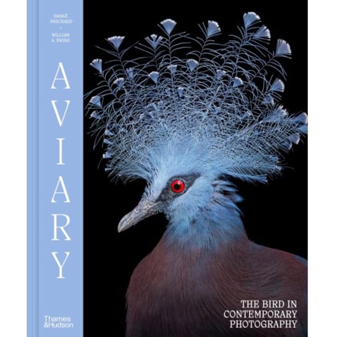 Aviary - William A. Ewing