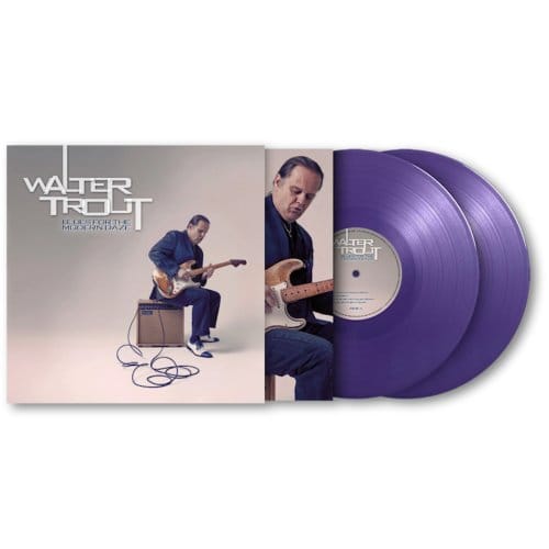 Blues For The Modern Daze - Walter Trout