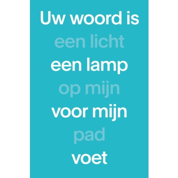 Nbv1 Paperback (Blauw)