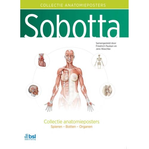 Sobotta - Collectie Anatomieposters