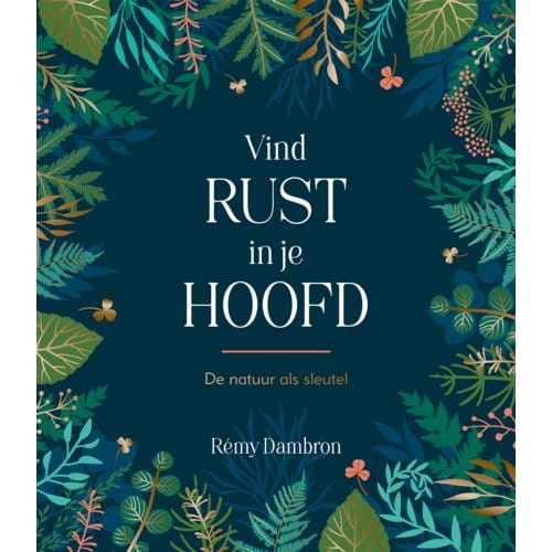 Vind Rust In Je Hoofd - Rémy Dambron