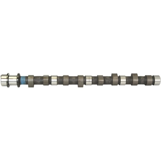 Nokkenas  AMC 664841