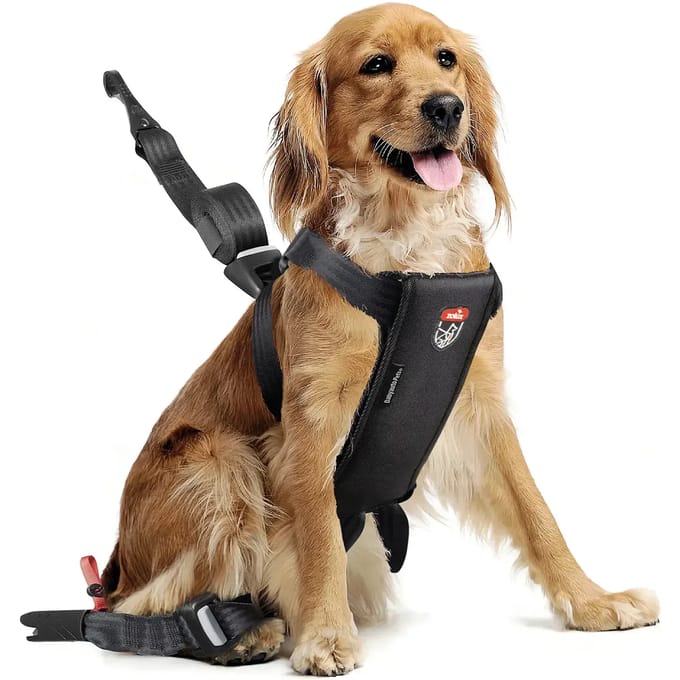 Veiligheidsharnas voor honden Zolux Travel
