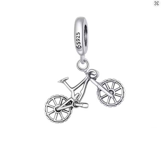 Bedel Fiets – Racefiets & MTB – 925 Zilver – RomyStones
