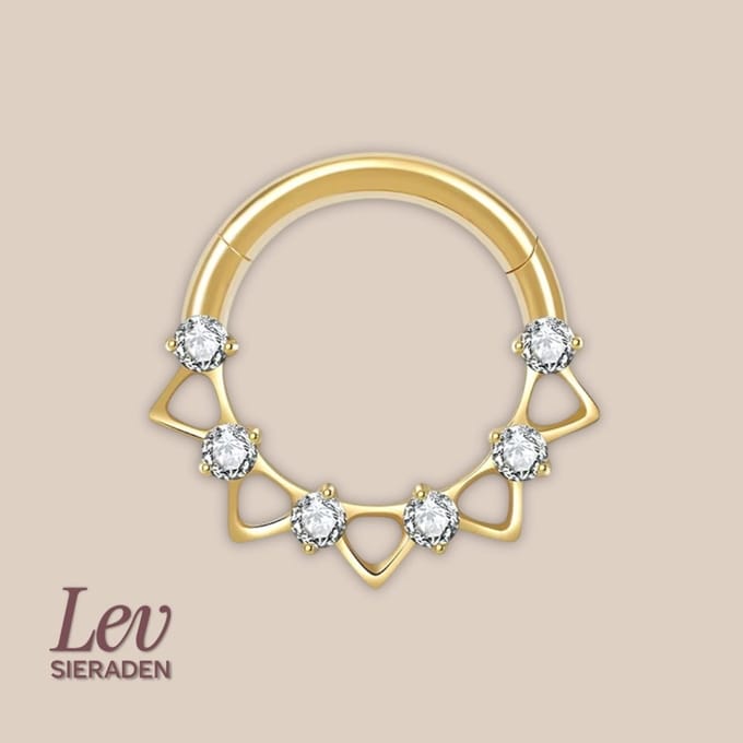 Lev Sieraden - Titanium premium neus ring - 6 zirkonia kroon segment ring - 1.2x8mm - Goud - segment ring - neuspiercing - tragus piercing - Oorpiercing