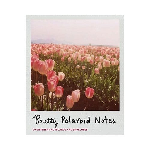 Pretty Polaroid Notes - Chronicle Books
