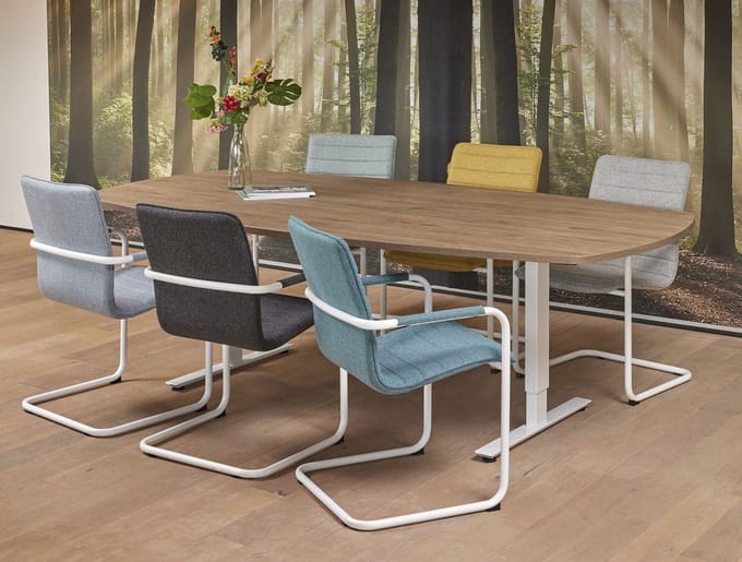 Vergadertafel Teez Deens Ovaal 240x120cm frame Wit (RAL9010) blad Logan eiken