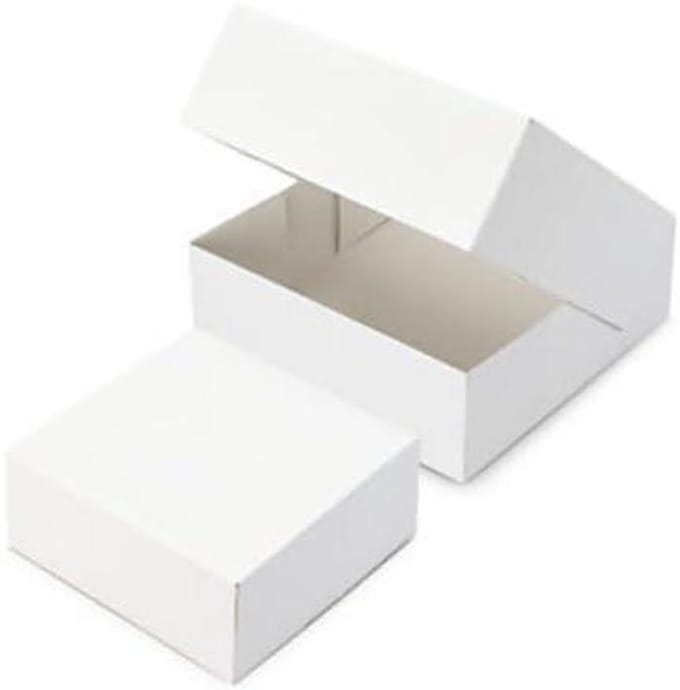 Kartonnen Taartdozen - Bakdozen - Taarten Vervoeren - Voedselveilig Materiaal - 29 x 29 x 8 cm - Wit