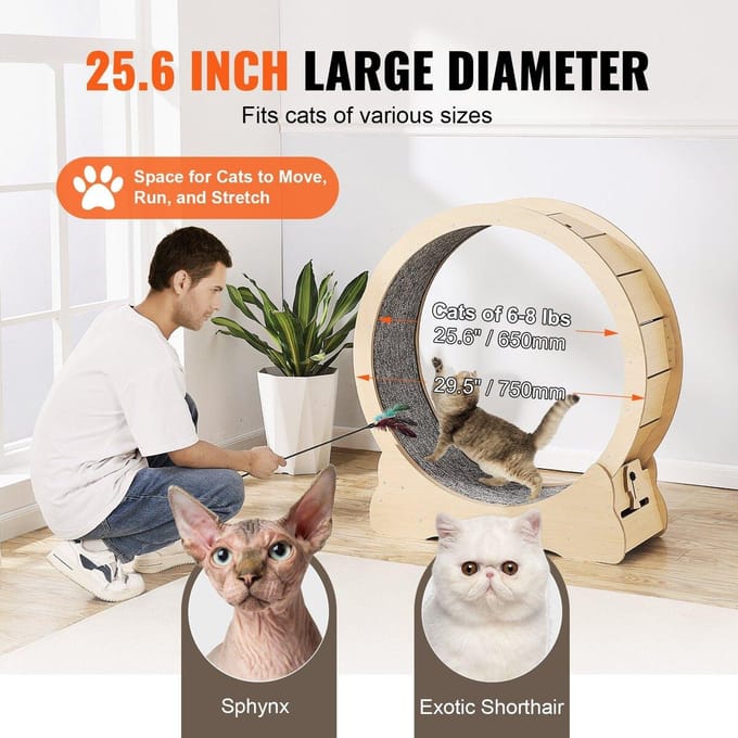 Kattenrenwiel Groot Kattenloopbandwiel voor Binnenkatten 29,5 inch