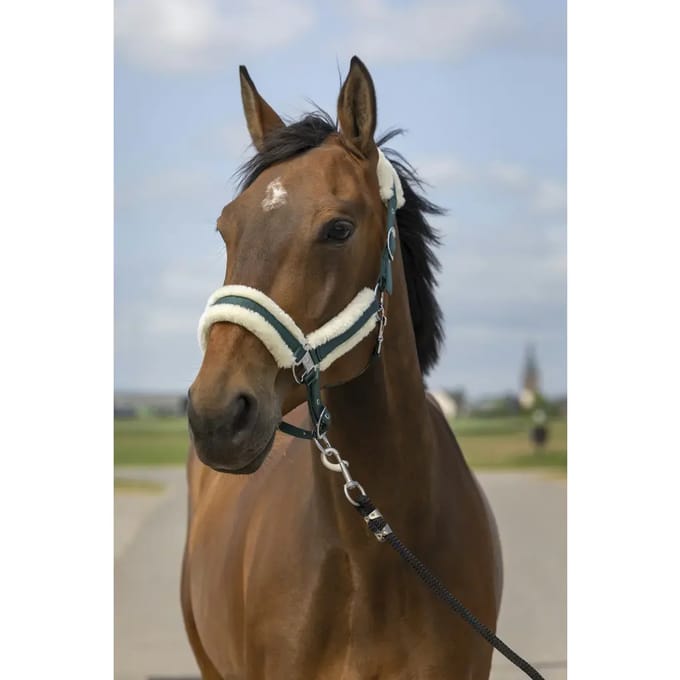 Schapenvacht nylon halster Equithème