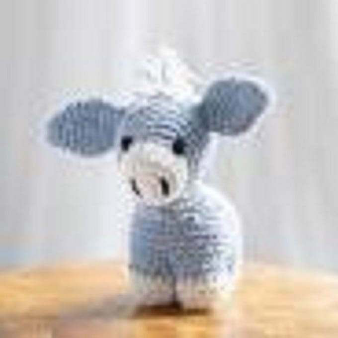 Haakpakket Donkey Joe provence ezel hobbypakket