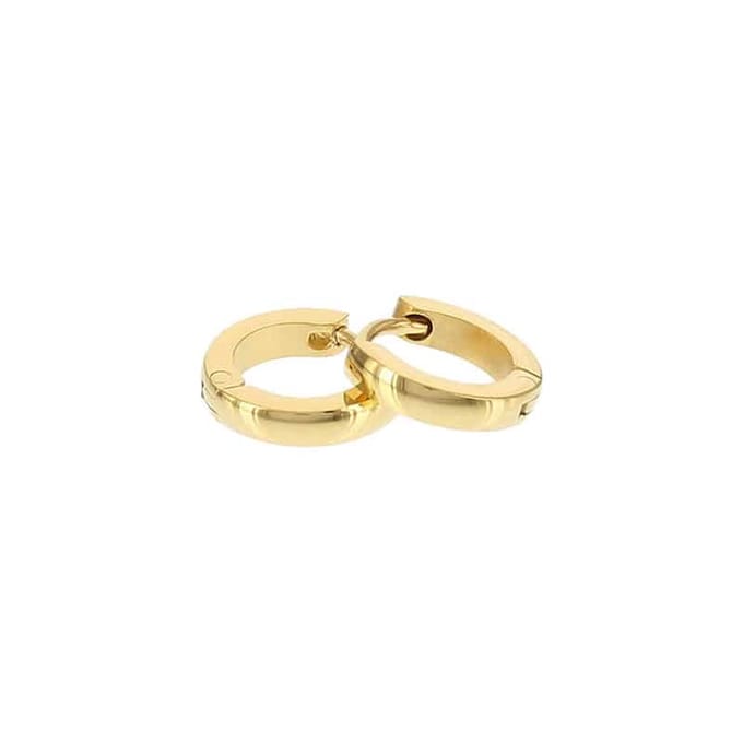 Kalli edelstalen Oorbel shiny rond 1897 Goud 10mm