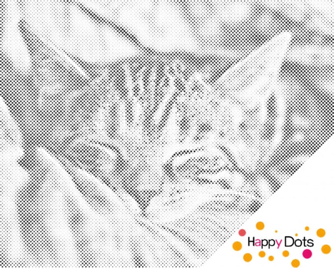 HappyDots DOT Painting Slapende Kitten 30x40cm - Stippelschilderij
