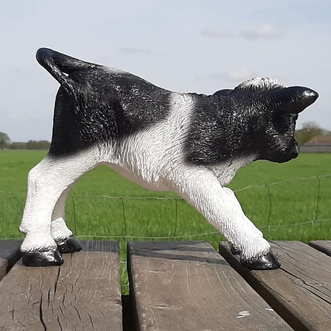 Beeldje kalfje-koe staand zwart wit 30cm lang