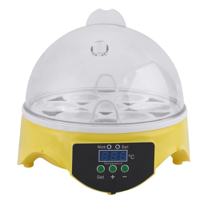 Incubateur numérique transparent pour poulet, canard, oiseau, 7 œufs, éclosoir, ménager white