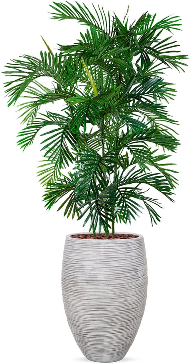 Kunstplant Arecapalm in Vaas elegant Deluxe rib ivoor H215 cm
