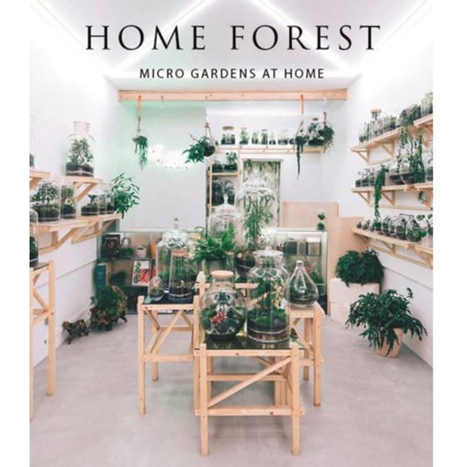 Home Forest - Francesca Zamora