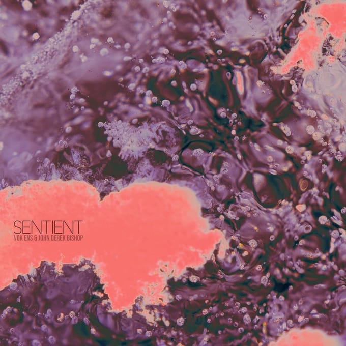 Bishop & Ens - Sentient (CD)
