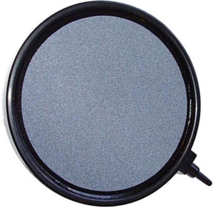AquaForte Luchtsteen disk 10 cm Budget