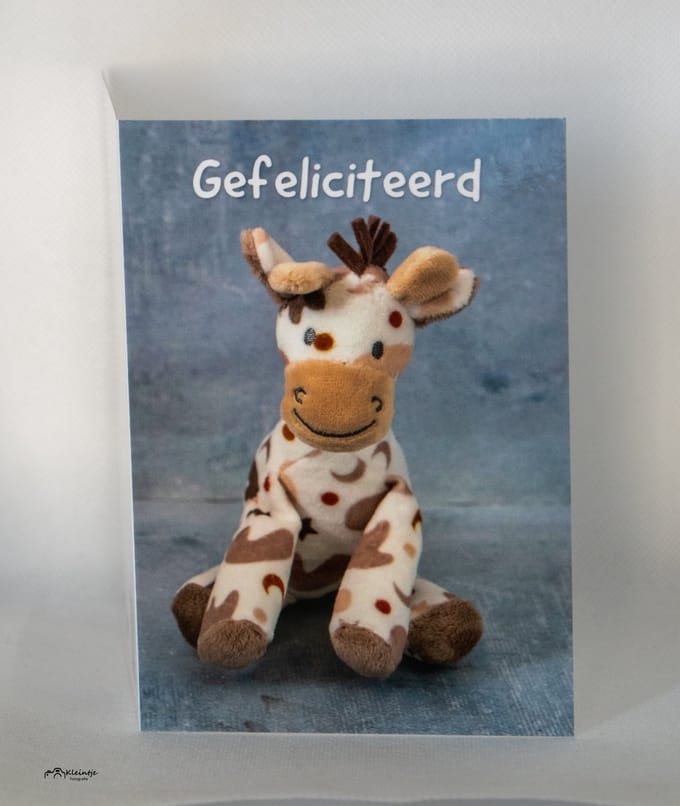 Kleintje fotografie wenskaart giraf