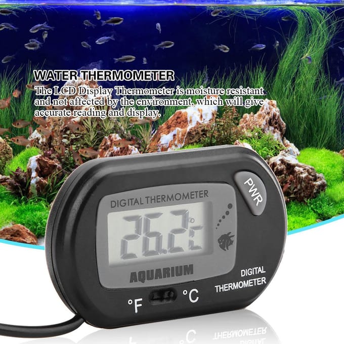 Kleine Digitale Aquarium Thermometer Temperatuur Meetapparaat Machine Zwart zwart