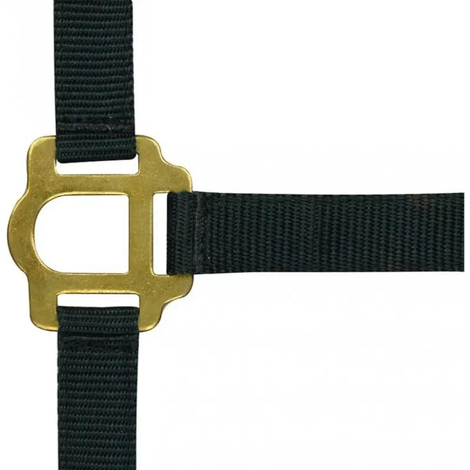 Halter Riding World
